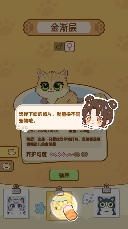 游戏攻略4