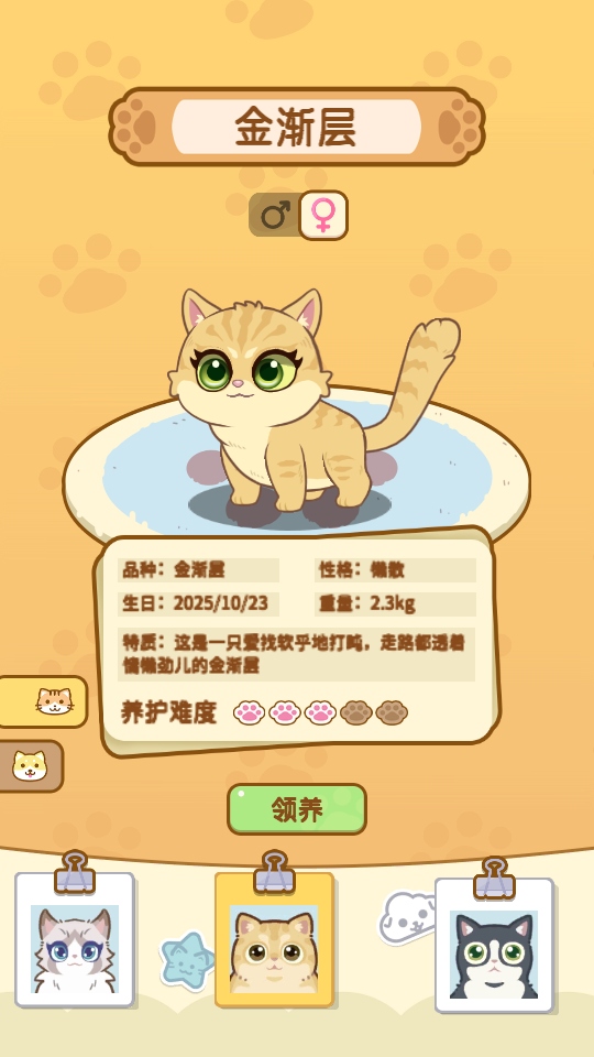 游戏攻略6