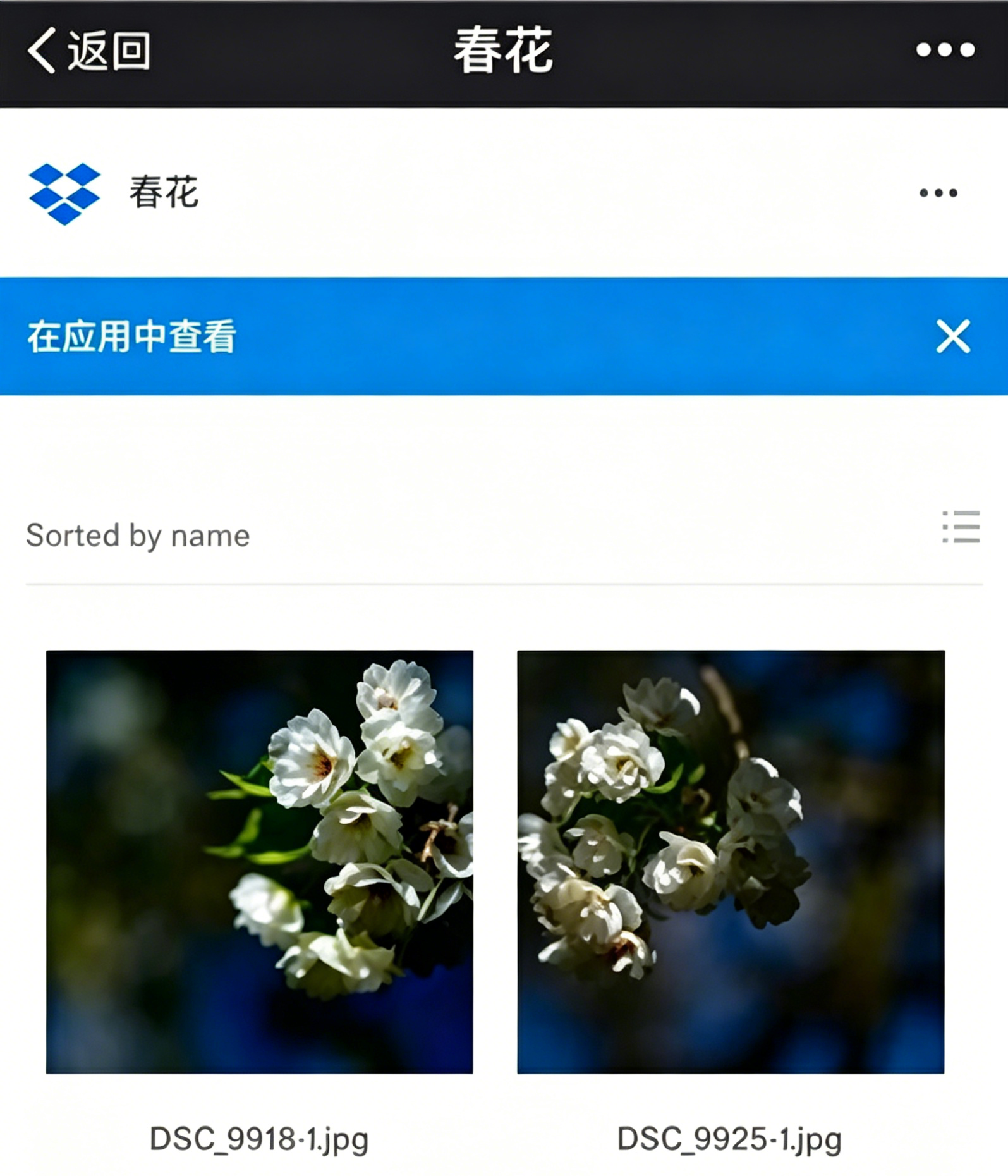 下载照片教程截图2