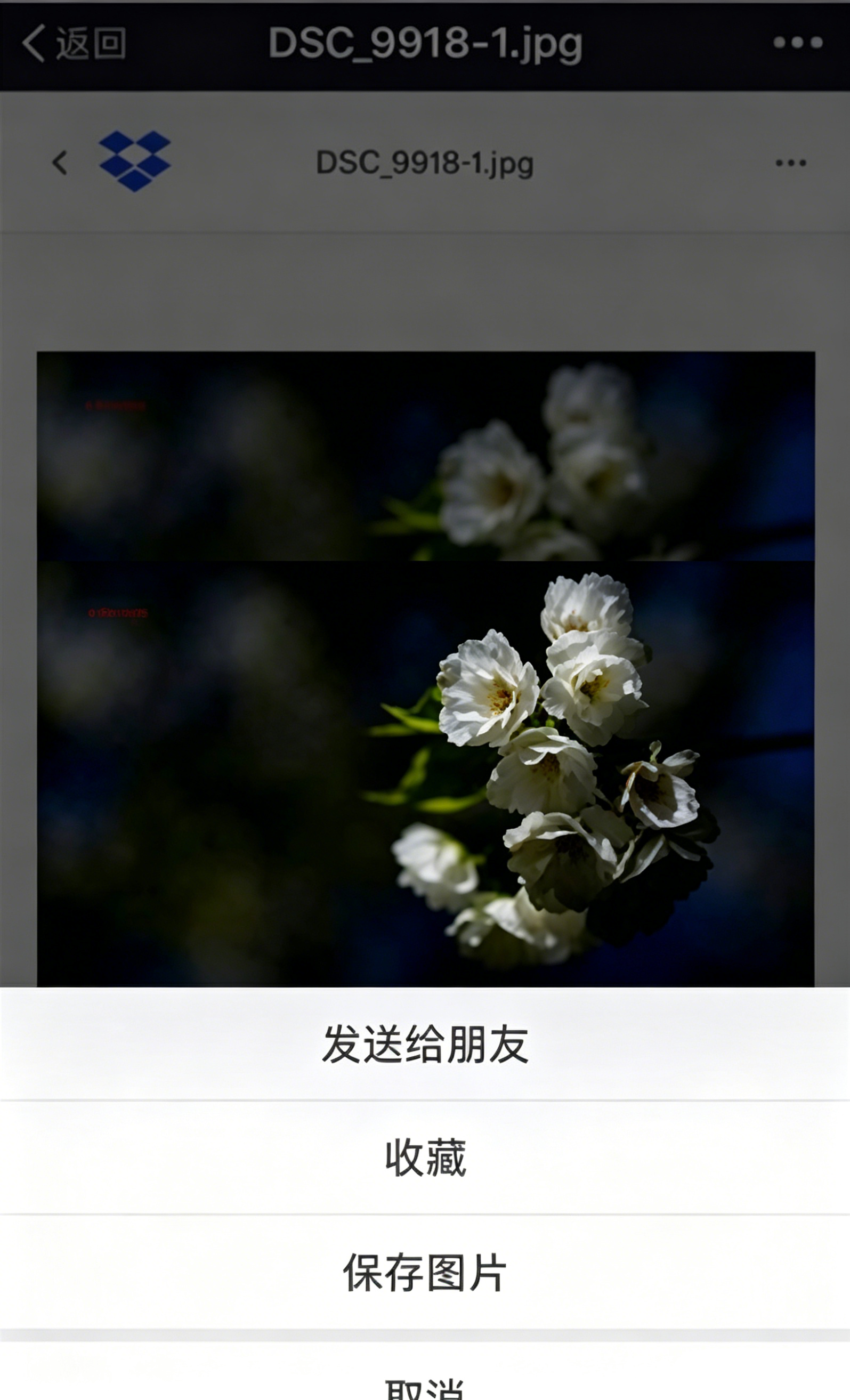 下载照片教程截图4