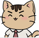 离家的猫