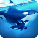 小小水世界游戏下载 v4.60.1 安卓版
